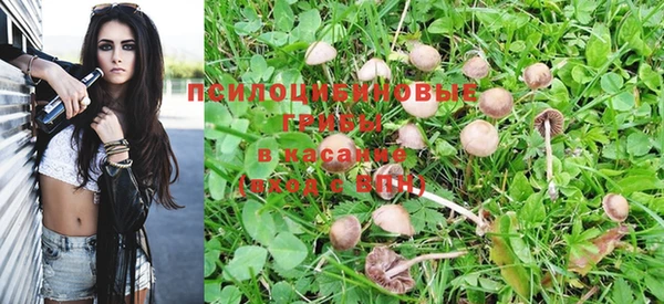 mdpv Абдулино