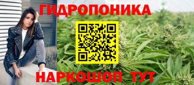 мдпв Ипатово