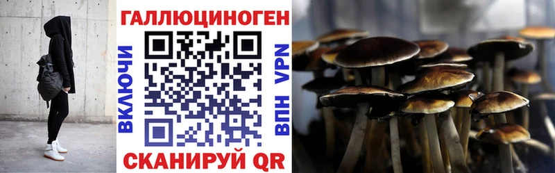 Галлюциногенные грибы GOLDEN TEACHER  дарнет шоп  Красный Сулин 