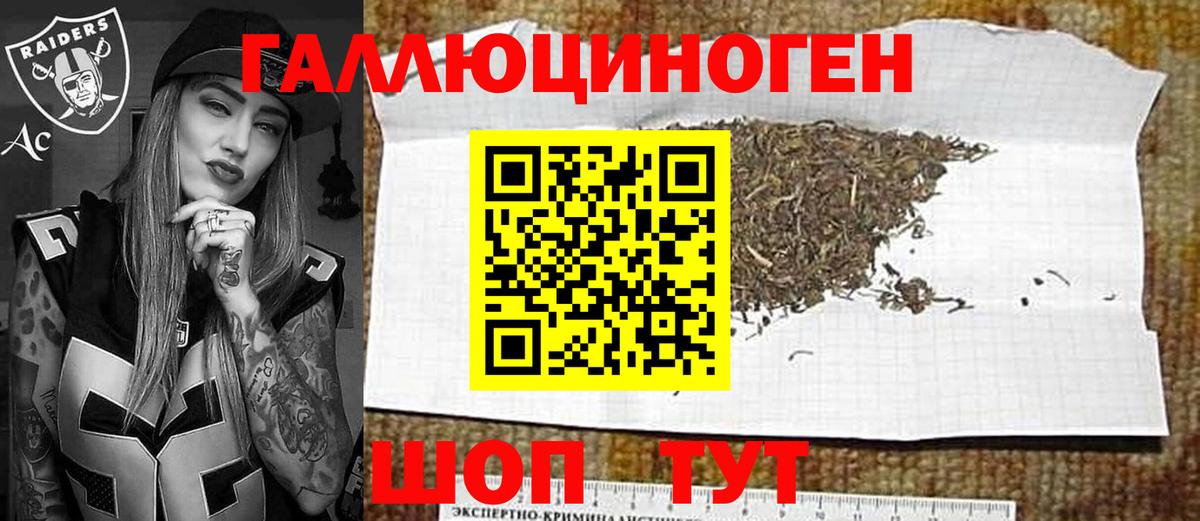 Красный Сулин  Псилоцибиновые грибы Psilocybe  Вход с VPN 