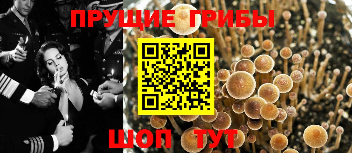Меф кристаллы  A PVP СК   Купить наркоту  Красный Сулин  ГАШИШ  Каннабис  Вход с VPN 